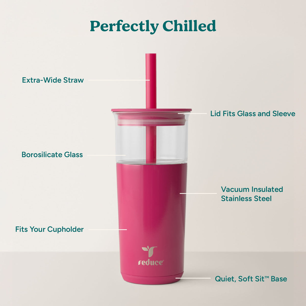 aspen-20-oz-x6 Aspen_Dragonfruit_PDP_Infographic2.jpg