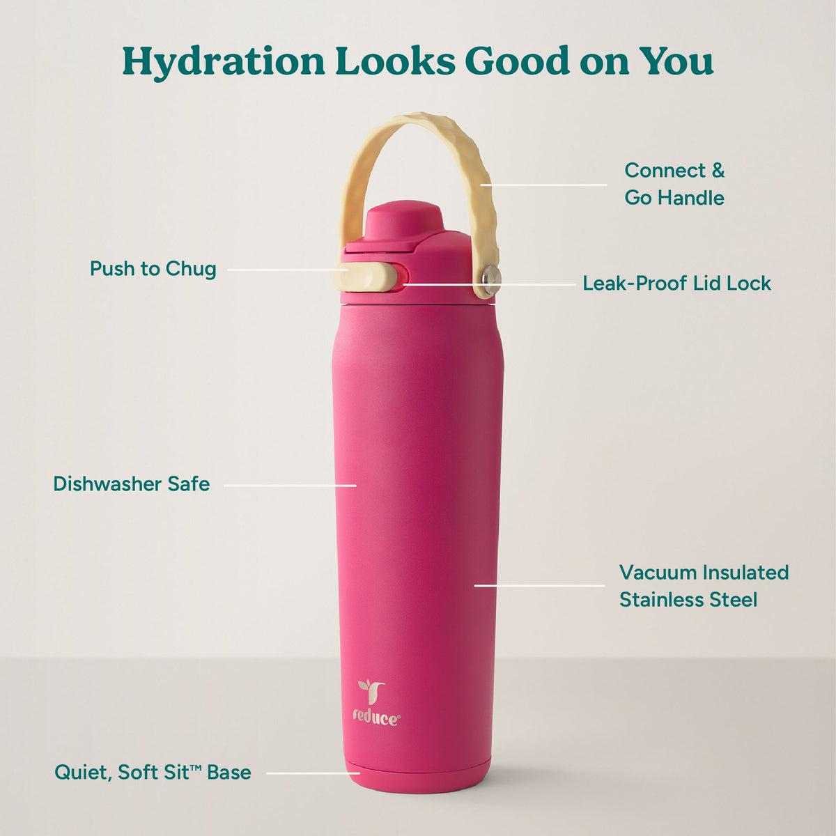 aura-26-oz-j0 Aura_26oz_DragonFruit_PDP_Infographic_2-03.jpg