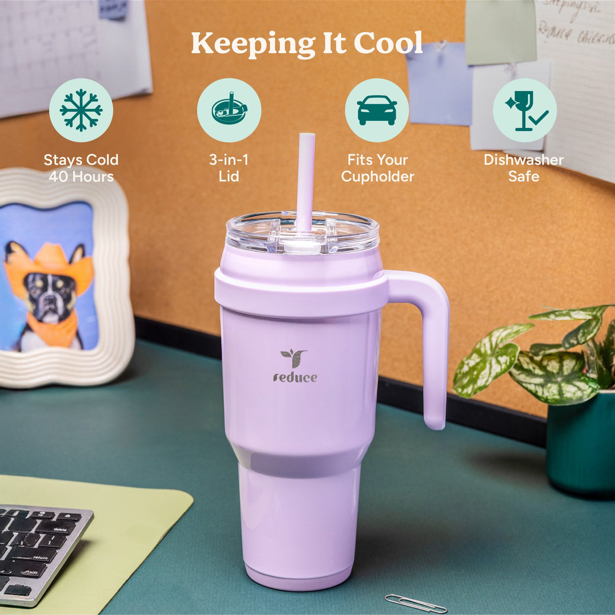 cold1-40-oz-v3 Cold1_40oz_LilacBud_Infographic_1.jpg