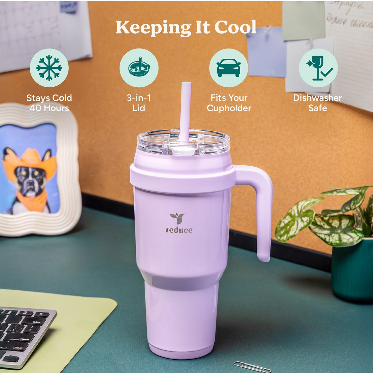 cold1-40-oz-v3 Cold1_40oz_PalmLeaf_Infographic_1.jpg