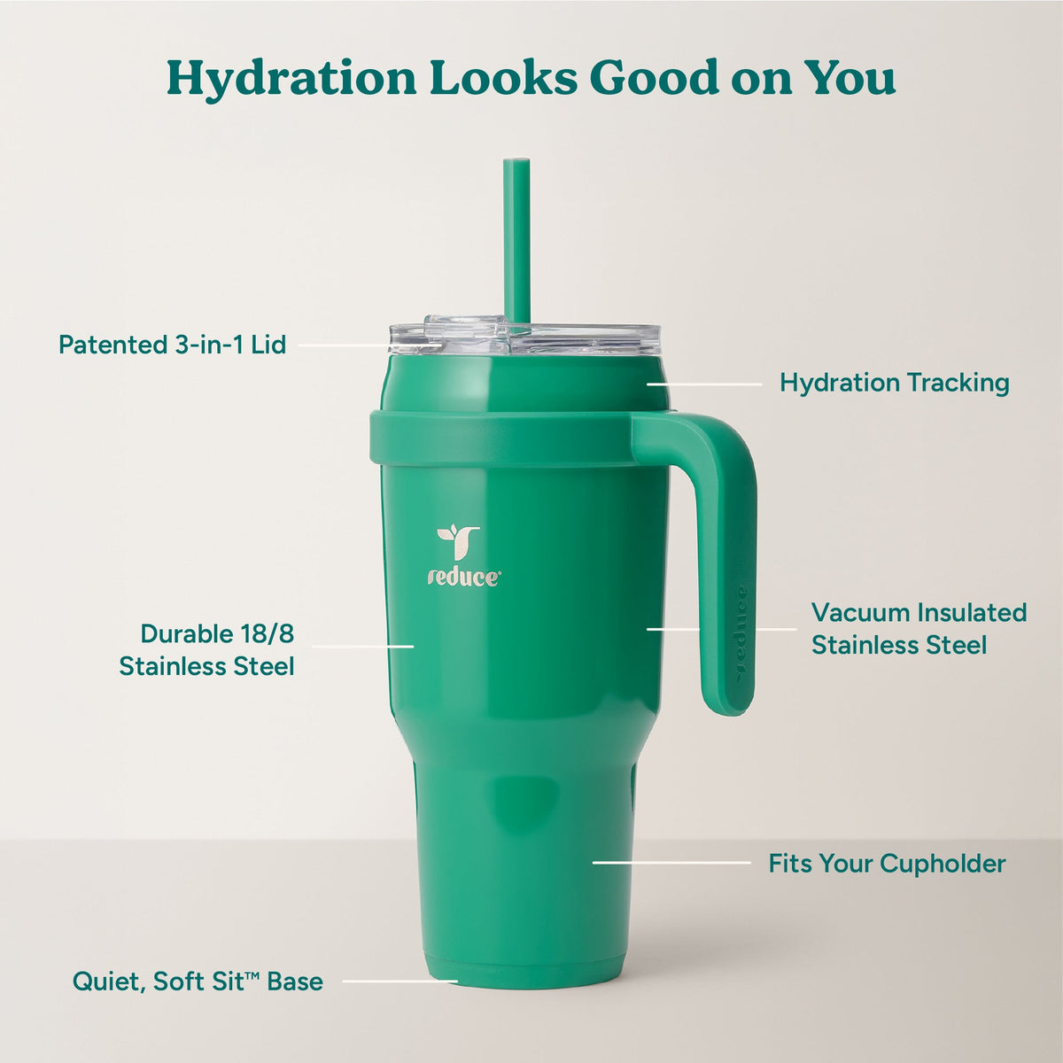 cold1-40-oz-v3 Cold1_40oz_PalmLeaf_Infographic_2.jpg