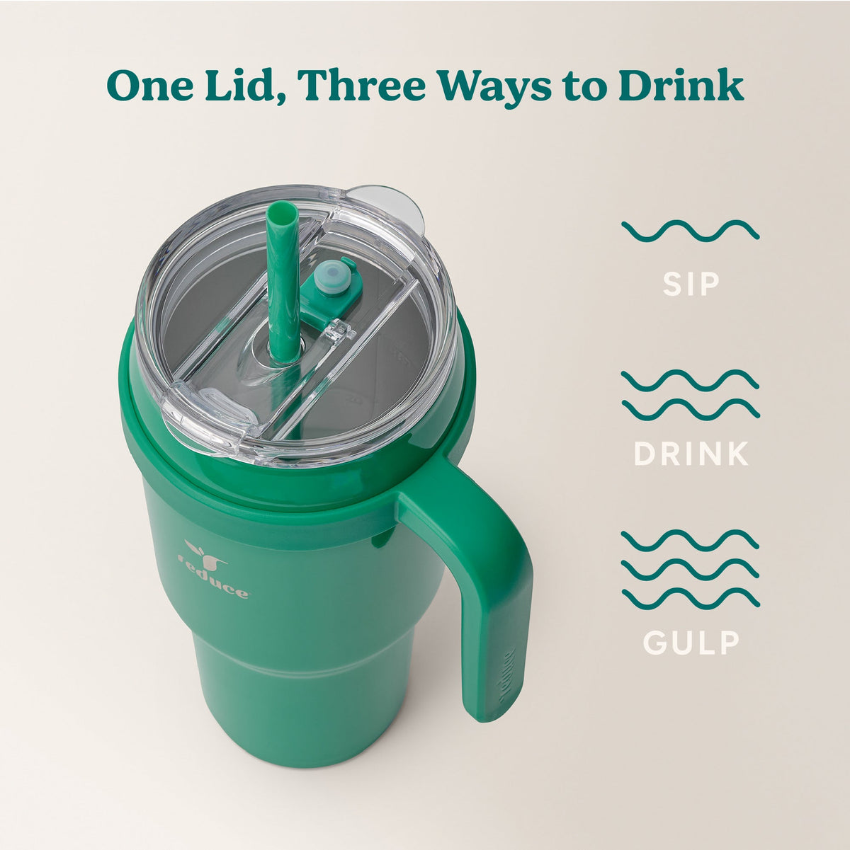 cold1-40-oz-v3 Cold1_40oz_PalmLeaf_Infographic_3.jpg